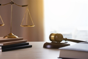 고데기로 지지고 골프채로 '퍽퍽'…영화 뺨친 계모 '학대 사건'의 전말