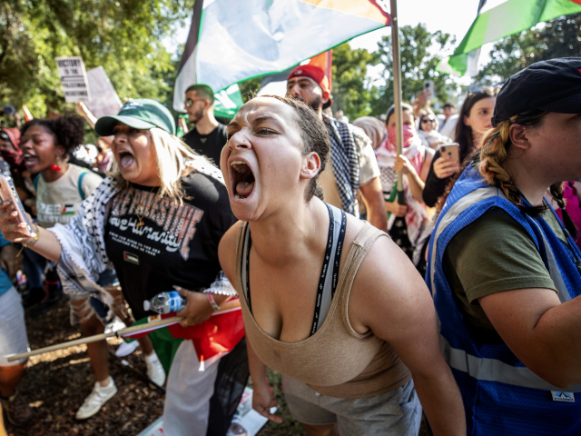 11일 미국 플로리다주 올랜도에서 열린 집회에서 친 팔레스타인 시위자들이 올랜도 경찰서 직원들에게 소리를 지르고 있다. AP연합뉴스