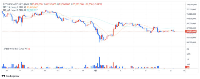 13일 오후 1시 10분 기준 비트코인(BTC) 가격 차트/출처=빗썸