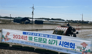 "햇볕과 바람이 잘 들어"…인천시, 벼 드문 모심기 농법 시연