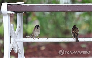[오늘의 날씨] 15년 만에 5월 최저 기온…전국 강풍에 비 소식