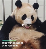 격리 종료 앞둔 푸바오, 드디어 단체생활 돌입…‘이 빵’을 가장 좋아한다는데