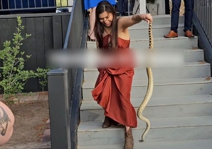 결혼식장에 나타난 대형뱀 맨손으로 잡은 女…목숨건 이유가?