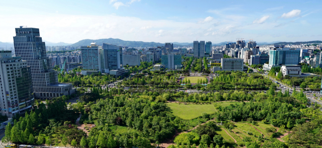 정부대전청사과 대전시청 사이에 조성돼 울창한 숲으로 변신한 대전 둔산 도시숲. 사진제공=산림청