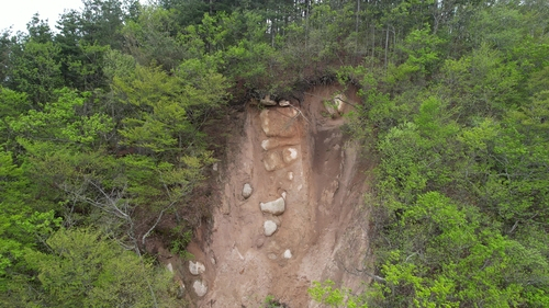 경주 토함산 석굴암 위쪽에 산사태가 발생한 모습. 사진 제공=녹색연합
