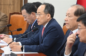 추경호 "당정 협의 안 한 설익은 정책 비판할 것"…'직구 규제' 정부 직격