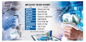 올 '감사의견 거절' 업체만 벌써 9곳…"옥석 가리는 계기 돼야"