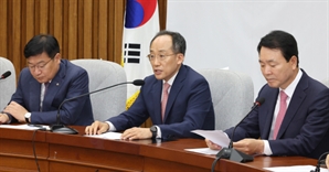 與 “김정숙 인도 방문 셀프초청 밝혀져, 수사해야”