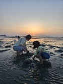 대부도 방아머리 해변 취사·야영 금지 1년 더