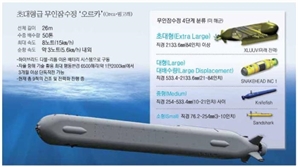 돌고래 닮은 해군 비밀병기 ‘초대형 무인잠수정’…뜨거워지는 바닷속 ‘드론 전쟁’[이현호 기자의 밀리터리!톡]
