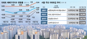"전세값 상승이 매매가 끌어 올려"…노도강도 살아났다