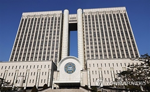 '미인도 위작' 사건 천경자 화백, 국가배상청구 2심 오늘 진행