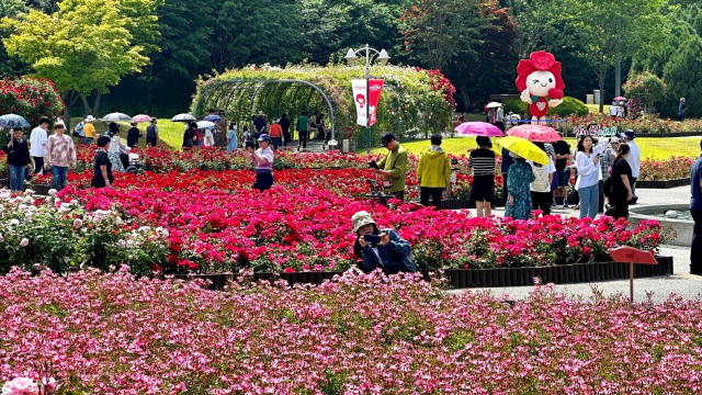 울산대공원 장미축제가 열린 23일 방문객들이 축제를 즐기고 있다. 사진 제공=SK이노베이션