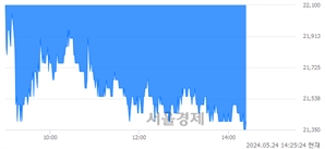 <코>사피엔반도체, 장중 신저가 기록.. 22,100→21,300(▼800)