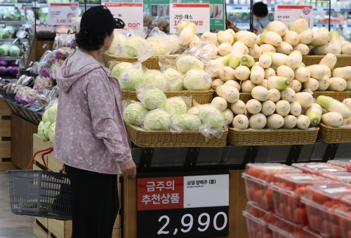 서울의 한 롯데마트 매장에서 한 시민이 못난이 채소 ‘상생 양배추’ 매대를 살펴보고 있다. 연합뉴스