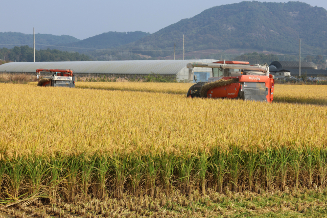 양곡법 대안 수입안정보험…쌀 포함해 30개로 늘린다