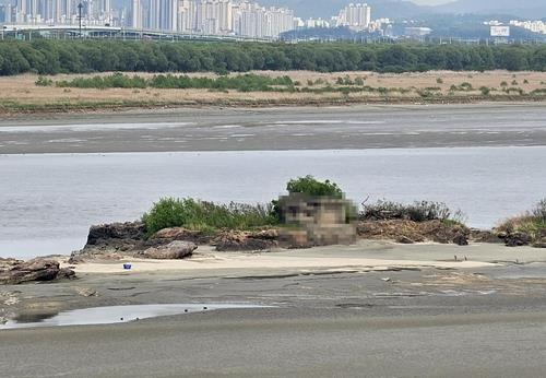 김포시 한강하구 독도. 사진 제공=김포시