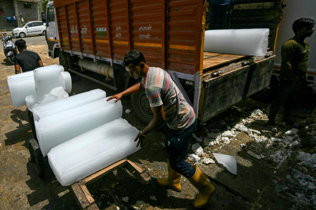 인도에서 연일 폭염이 계속되는 가운데 30일(현지시간) 수도 뉴델리에서 인부들이 손수레에 얼음을 쌓고 있다. AFP연합뉴스