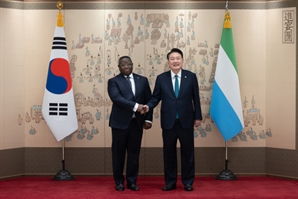 尹, 탄자니아·에티오피아와 정상회담…협력 방안 논의