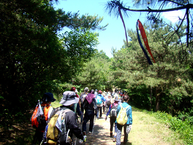 지난 1일 연천 평화누리길에서 DMZ 소규모 평화 걷기 참석자들이 걷고 있다. 사진 제공=경기도