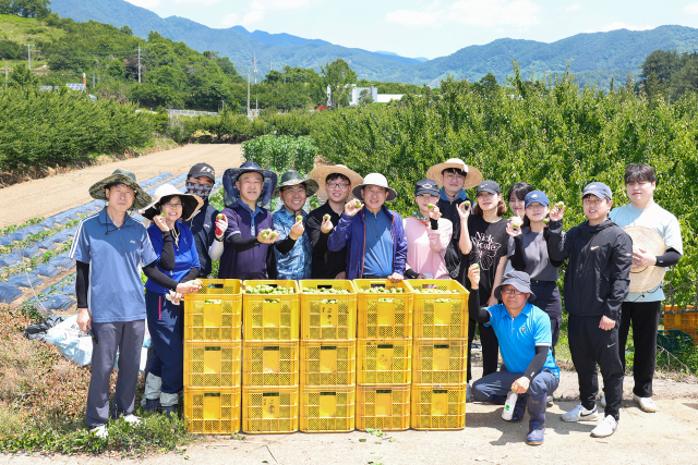 광양경제청 직원들이 최근 전남 광양시의 한 매실농가를 찾아 일손 돕기 활동을 진행하고 화이팅을 외치고 있다. 광양경제청은 오는 14일까지 광양시 다압면 소재 4개 농가와 하동군 악양면 소재 1개 농가 대상으로 매실 수확·선별 작업을 진행한다. 사진 제공=광양경제청