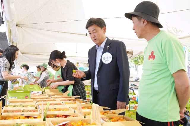 토마토 판매장 살펴보는 방세환 광주시장. 사진 제공 = 광주시