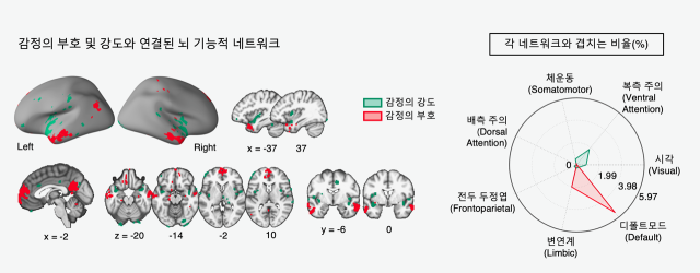 감정의 부호 및 강도와 연결된 뇌 기능적 네트워크를 보여주는 시각물. 사진 제공=IBS