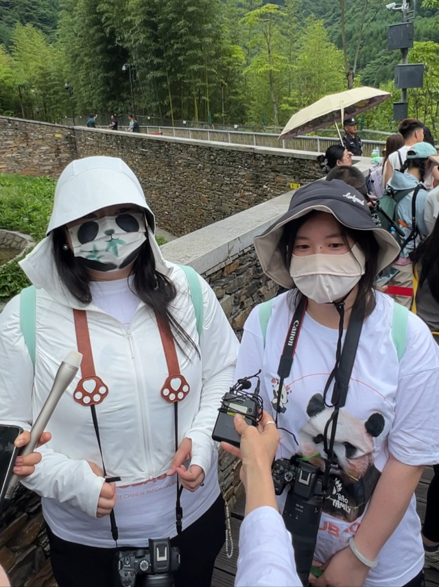 [영상]'40분 줄 서 5분 관람' 푸바오 보려 몰려든 중국 인파 '푸바오는 선수핑에서…'