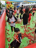 "축제에 야시장 꼭 필요한가?" 바가지 논란 원천 봉쇄한 '퇴촌 토마토 축제'…시민들 '환영' [르포]