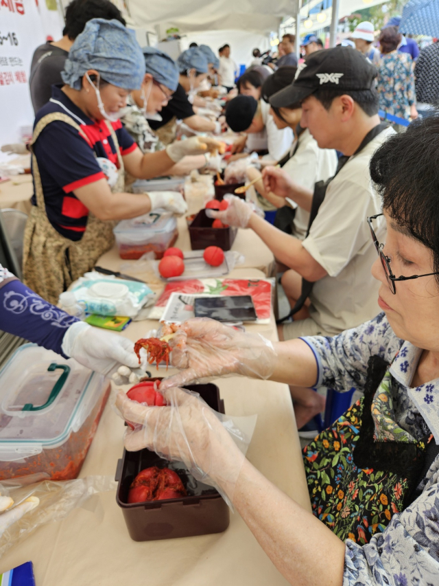 15일 오후 광주시 퇴촌면의 이모 할머니가 토마토 김치 체험활동을 하고 있다 . 사진 = 손대선 기자