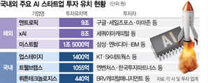 지갑 닫은 VC…토종 AI유니콘 안보인다