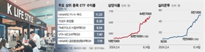 엔비디아 안 부럽네…Z세대 잡은 K컬처 ETF '훨훨'