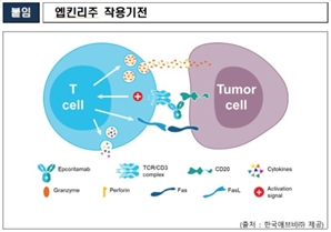 식약처, 혈액암 치료 희귀의약품 '엡킨리주' 허가