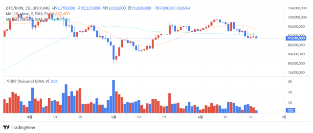 21일 오후 1시 기준 비트코인(BTC) 가격 차트/출처=빗썸