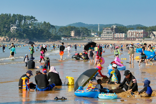 충남 태안 만리포해수욕장을 찾은 해수욕객들이 여름을 즐기고 있다. 사진제공=충남도