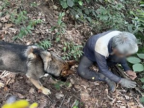 폭염 속 실종자 하루에 2명 구조…기특한 '고고'