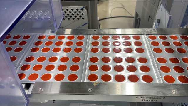 알피바이오 블리스터 젤리 제조공정 모습. 사진 제공=알피바이오