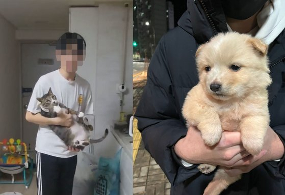 입양한 개·고양이 11마리 잔혹하게 죽였는데 '집유'…“역대 최악의 선고”