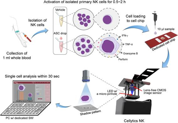 NK 세포 활성도 기반 면역력 검사 플랫폼인 Cellytics® NK 개념도. 사진제공=고려대학교 세종캠퍼스