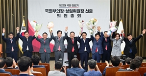 국민의힘, 국회부의장 상임위원장 후보자 선출