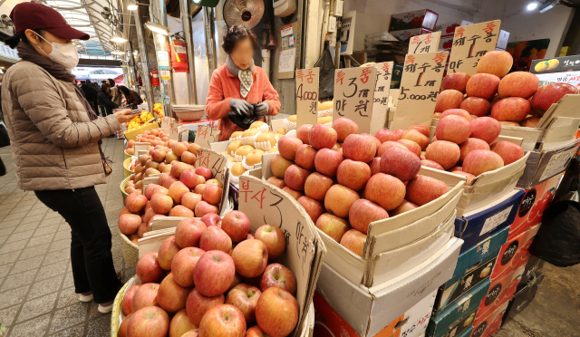 올해 3월 서울의 한 전통시장 과일 판매대에 사과가 진열돼 있다. 연합뉴스