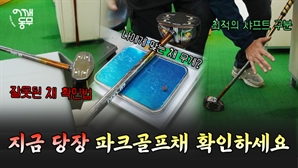 파크골프채 분석 5분이면 끝…파크골프채 자가진단법