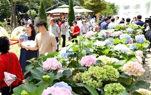 굵은 장맛비도 뚫어낸 '반값 관광'…획기적 관광 아이템으로 골목 구석구석 경제 스며든 이곳[전남톡톡]