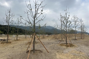 고려저축은행, 해운대수목원에 수목 기증…기부숲 조성