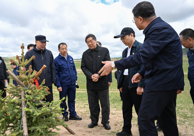 허리펑(가운데) 중국 부총리가 지난 5월 31일 북중국 내몽골 자치구에서 사막화 방지 및 통제 진행 상황을 조사하고 있다. 신화연합뉴스