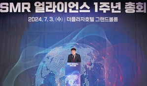 '원전 펀드' 800억 조성, 내년 SMR 협회 설립도