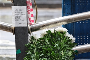 ‘주행 평가’ 없는 국내 고령운전자 면허제…‘시청역 참사’에 재조명