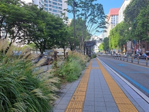부산시, BRT 정류소에 소규모 정원 조성키로