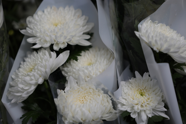 3일 오전 서울 중구 시청역 교차로 인근 사고 현장에 희생자들을 추모하는 꽃들이 놓여 있다. 연합뉴스