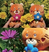 국립백두대간수목원, ‘백두랑이’ 일자리 찾아요